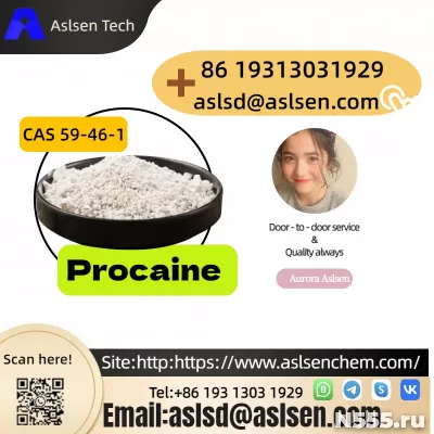 Popular Global Quality Procaine CAS Number 59-46-1